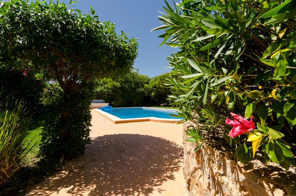 Villa Do Monte Monte Raposo Rum bild